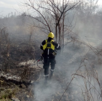 Por la suba de temperatura, se recomienda tomar precauciones para evitar incendios forestales