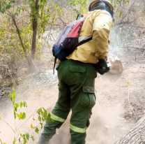 Intenso operativo para extinguir incendios forestales en el norte provincial