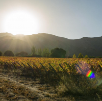 Tiempo en Salta: se espera un brusco descenso de la temperatura en la ciudad