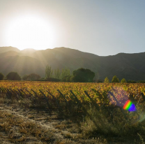 Tiempo en Salta: se viene un finde caluroso en la ciudad