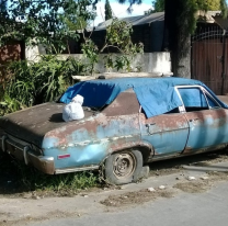 Levantarán autos abandonados en tres barrios de Salta