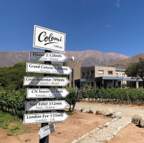 La bodega salteña "Colomé" fué elegida como una de las mejores del mundo y es considerada un ícono de la ruta del vino de altura en salta