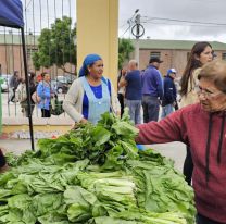 "El mercado en tu barrio" vuelve a la plaza España