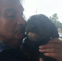 "Muñeco" el perrito que era intensamente buscado, ya está en casa