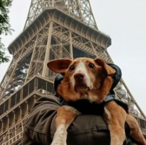 Francesa vino de vacaciones, se enamoró de un callejerito y se lo llevó a París