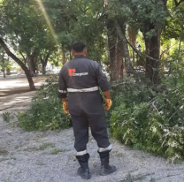 El sistema municipal de Emergencias 105 intervino en cuatro incidentes tras la lluvia de anoche