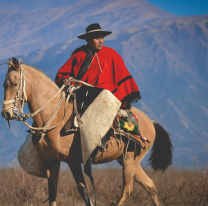 ¿Por qué se celebra el Día Nacional del Gaucho?