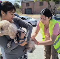 La semana que viene habrá atención veterinaria gratuita en barrios salteños