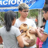 Este fin de semana «La Muni en tu barrio» atenderá en 20 de Febrero