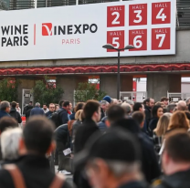 Bodegas salteñas exhibirán sus vinos en la Feria Internacional Wine Paris 2025