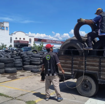 Tras el 10° Neumatón, se superaron las 700 toneladas recolectadas