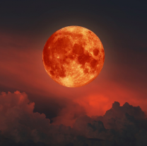 El viernes en Argentina se podrá ver "La Luna de Sangre"