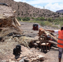 Salteños lanzaron una campaña para asistir a lo animales afectados por las inundaciones en la Quebrada del Toro