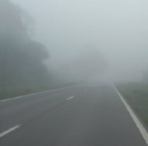 Ruta salteña amaneció cubierta de neblina: piden a conductores tomar precaución 